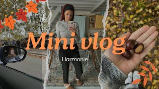 Mini vlog haul amp quotidien ♡ [upl. by Lewis]