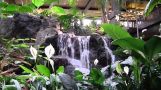 DISNEYS POLYNESIAN RESORT  screensaver  Lobby with Fountain [upl. by Thackeray]