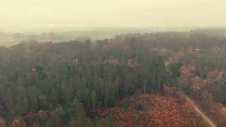 Delamere Forest from my DJI Mavic Mini 4 Pro Combo Drone autumn 2024 [upl. by Anaoy]