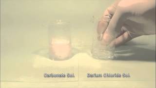 Reaction of Carbonate Solution with Barium Chloride Solution [upl. by Horick]