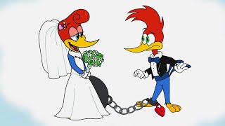 Woody Is In Love  Woody Woodpecker [upl. by Mulac354]