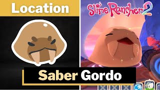 Slime Rancher 2  Saber Gordo Location [upl. by Anal]