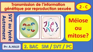 Méiose ou mitose Comparaison  mitose animale et mitose végétale [upl. by Akaya]