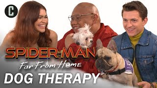 Tom Holland Zendaya and Jacob Batalon Play with Therapy Dogs [upl. by Sarge]