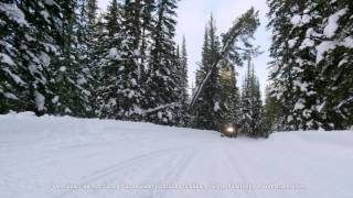 Arctic Cat 2016 Utility Intro [upl. by Asiuqram]