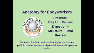 Day 18 of Online Anatomy for Bodyworkers Review Digestion Structure amp Review Final [upl. by Entruoc914]