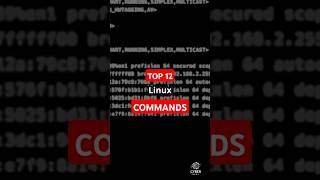 12 MustKnow Linux Networking Commandslinuxcommands linux cybersecurity [upl. by Yerd]