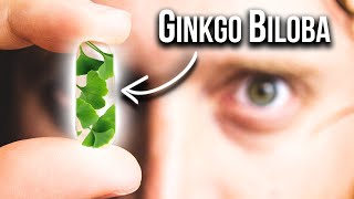 Surprising Ways Ginkgo Biloba Can Improve Your Brain [upl. by Llewxam]