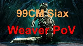 Fractals LvL99CM  Siax  Weaver PoV [upl. by Elwyn]