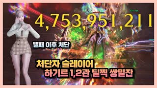 Lost Ark 처단자 상향 이후 하기르 12관 올밑잔 [upl. by Aisak]