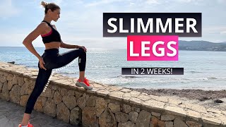 SLIMMER LEGS IN 14 DAYS  lose thigh fat  tone legs  No Equipment [upl. by Enelyak]