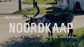 S2E15 Motorreis naar de Noordkaap  Dag 9 [upl. by Nahtaoj]