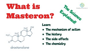 What is Masteron Learn the mechansim of action of drostanolone [upl. by Austreng]