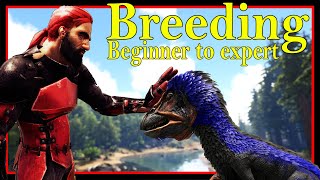 The Ultimate Breeding and Mutations Guide 2023  Ark survival Evolved [upl. by Atiuqnahs]