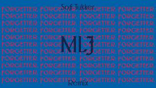 Mr Little Jeans  Forgetter Sofi Tukker Remix Audio [upl. by Ainaj534]