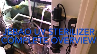 UV sterilizer JEBAO complete overview from what they do install with helpful tipsamp mistakes I made [upl. by Enamart]