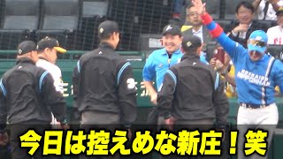 【岡田監督ハイタッチ拒否！笑 注目試合前の新庄剛志メンバー表交換！】阪神対日ハム [upl. by Stevena]