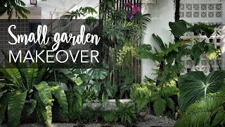 Small tropical garden 20sqft makeover with 10 Pro Gardening Tips [upl. by Ronaele500]