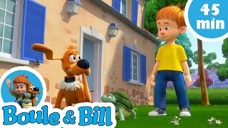 👪 Boule et Bill ont peur de se faire gronder🐶 Nouvelle compilation Boule et Bill FR [upl. by Tillford]