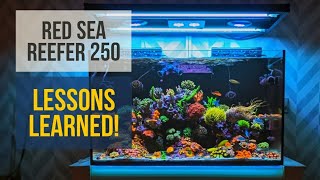 Red Sea Reefer 250  Update  Lessons Learned 🙈  Mixed Reef  Reef Tank [upl. by Yelrahs]