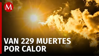 Por altas temperaturas 229 personas han fallecido en México [upl. by Macknair58]