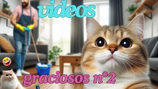 Los MEJORES VIDEOS de GATOS graciosos parte N°2  ¡NO PODRÁS DEJAR DE REIR 😁🙀😼 FUNNY KITTENS [upl. by Llig]