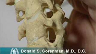 Anatomy and Motion of the Cervical Spine  Neck Conditions  Vail Orthopedic Spine Surgeon [upl. by Det607]