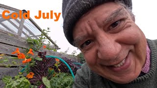 A Cold July Allotment Gardening Diary [upl. by Carlita]