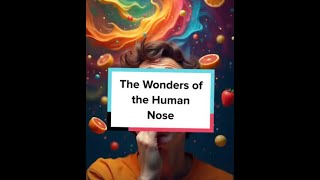 The Wonders of the Human Nose [upl. by Anna-Maria339]