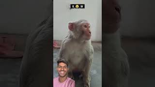 Chhota a😹😂youtubeshorts funny reciation comedyfilms viralshort comedy rections ￼ [upl. by Noissap]