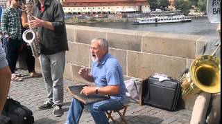 Bridge Band Charles Bridge Prague  Washboard Solo [upl. by Airetahs248]