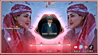 New Arabic Remix Song 2023  Arabic Song  Slowed Reverb  Bass Boosted  Arabic Remix Songs [upl. by Earised]