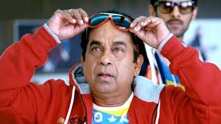 வயிறு வலிக்க சிரிக்க இந்த காமெடியை பாருங்கள்  Tamil Comedy Scenes Brahmanandam Comedy Scenes [upl. by Lissy]