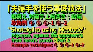 第27回「夫婦手を使う掌底技法例④⑤⑥1⑥2」Shotei techniques ④⑤⑥1⑥2 using Meotode [upl. by Bille]