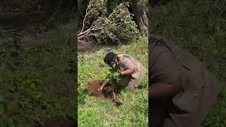 National Tree Planting Day [upl. by Barnett]