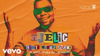 Njelic  Izinto Zimane Zijike Visualizer ft Mkeyz Thabza Tee Rhythm Tee [upl. by Nomihs]