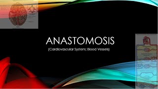 Blood Vessel Anastomosis Explained l Anatomy amp Physiology [upl. by Lenes]