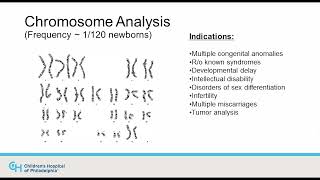 2 Different ways to diagnose genetic disorders Chromosome Analysis [upl. by Tiossem]