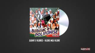 DJEMT E VLORES  VLORE MOJ VLORE  Official Audio [upl. by Nnail953]