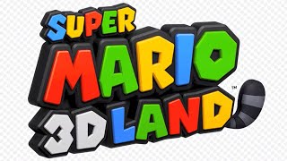 Special World 8 Crown  Super Mario 3D Land [upl. by Yknip321]