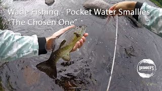 Fly Fishing Wade Fishing Pocket Water Smallies on quotThe Chosen Onequot [upl. by Hcelemile]