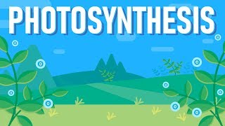 What is Photosynthesis [upl. by Enomrej]