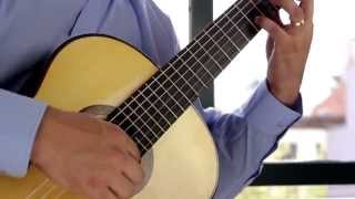 Milonga  Jorge Cardoso David Sossa Guitar [upl. by Alicirp]