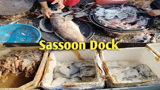 Walk Through Sassoon Dock Indias Oldest Fish Wholesale Market Colaba Mumbai  Walk Sassoon Dock [upl. by Aihsit]