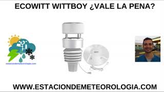 Ecowitt Wittboy estación meteorológica Wifi con anemómetro de ultrasonidos y pluviómetro háptico [upl. by Ainekahs]