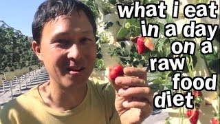 What I Eat in a Day on Raw Food Diet When I Travel [upl. by Bezanson]