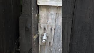 Has anyone seen this before Door knob on gate [upl. by Ahsena524]