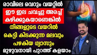 ഈ ഇല ചവച്ചു കഴിക്കുകയാണെങ്കിൽ മലവും പഴകിയ ഗ്യാസും മുഴുവനായി പുറത്ത് കളയാം  Remedies For Acidity [upl. by Aetnuahs]