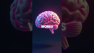 The Key to Sharper Focus amp Memory 🌿🧠 facts health shorts viral wellness [upl. by Aronaele]