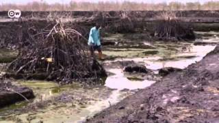 Nigeria Oil pollution in the Niger Delta  Global 3000 [upl. by Julee799]